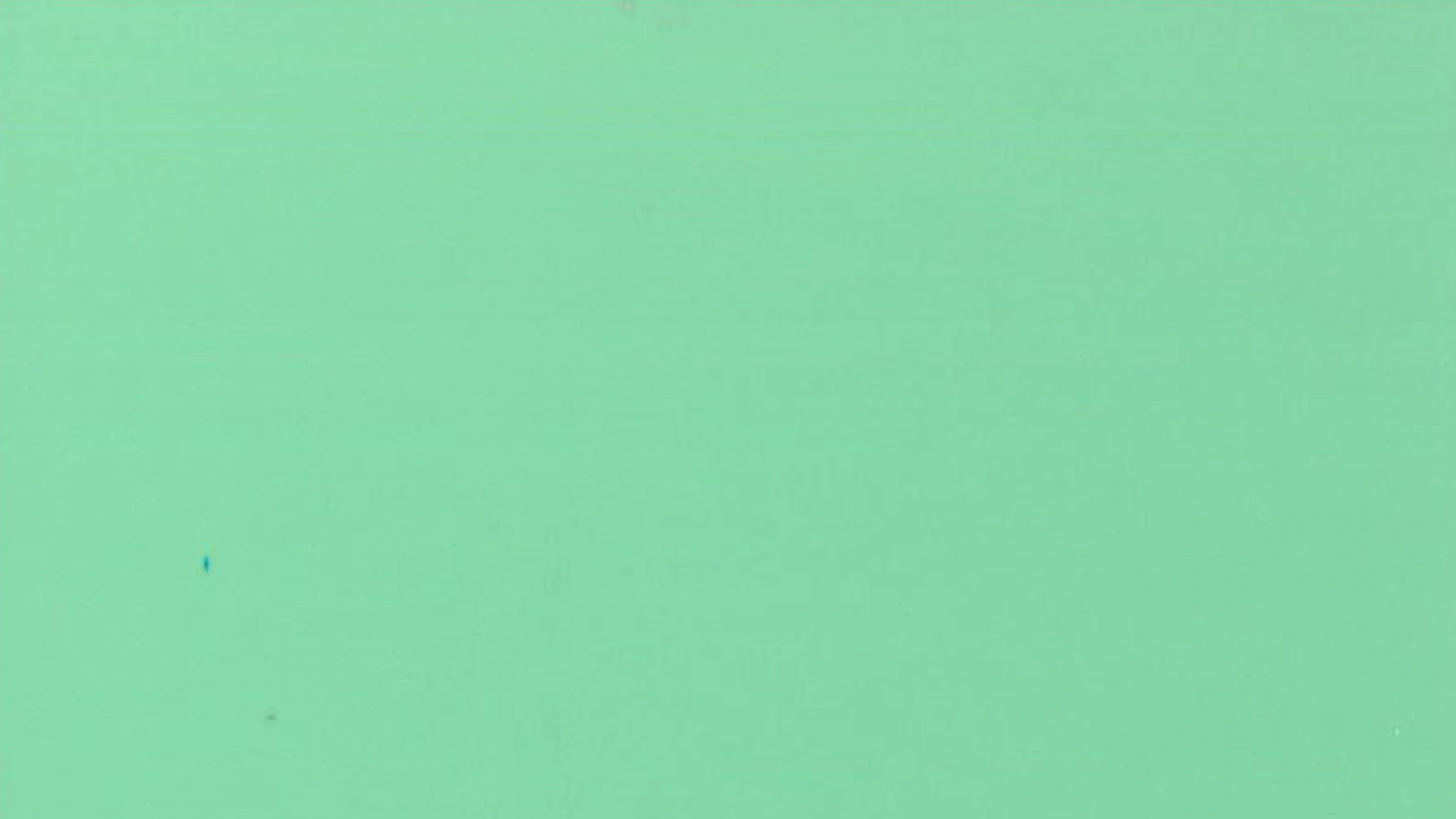 Novinka - 578 - VELVET MINT